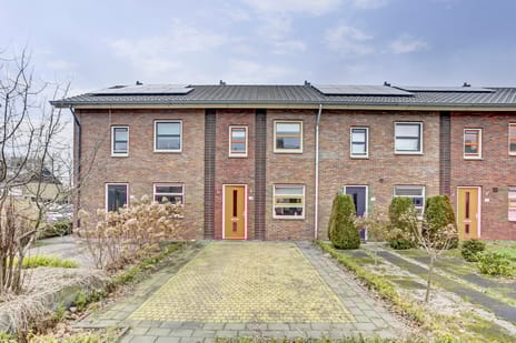 undefined main image