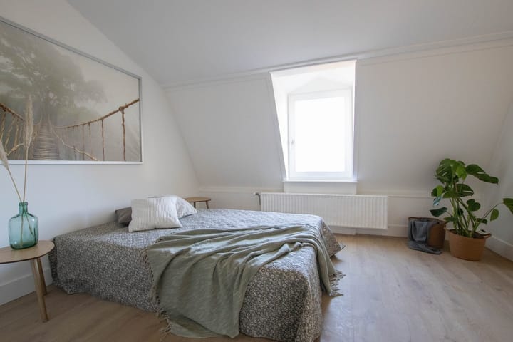 Foto 3 van Forestusstraat 45