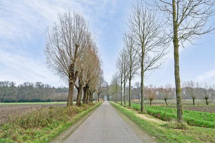 Foto 39 van Den Aard 2