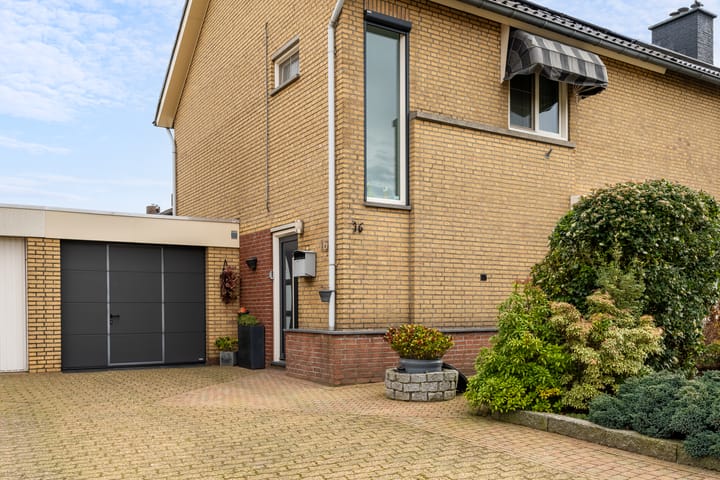 Foto 23 van Mispelboom 16