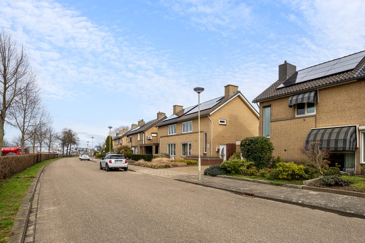 Foto 24 van Mispelboom 16