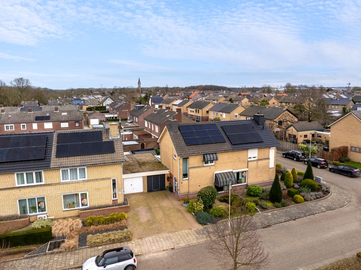 Foto 25 van Mispelboom 16