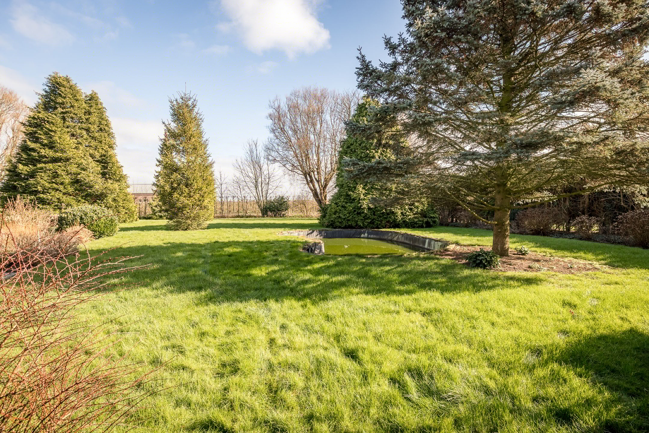 Foto 36 van De Hout 63