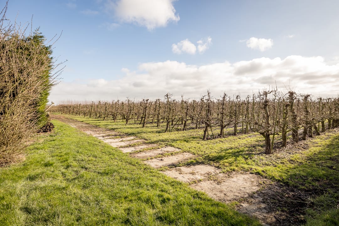 Foto 38 van De Hout 63