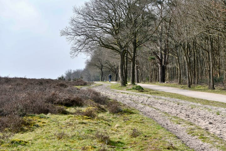 Foto 30 van C. Evertsenstraat 86