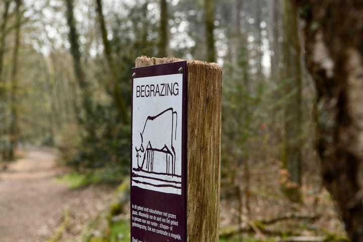 Foto 31 van C. Evertsenstraat 86