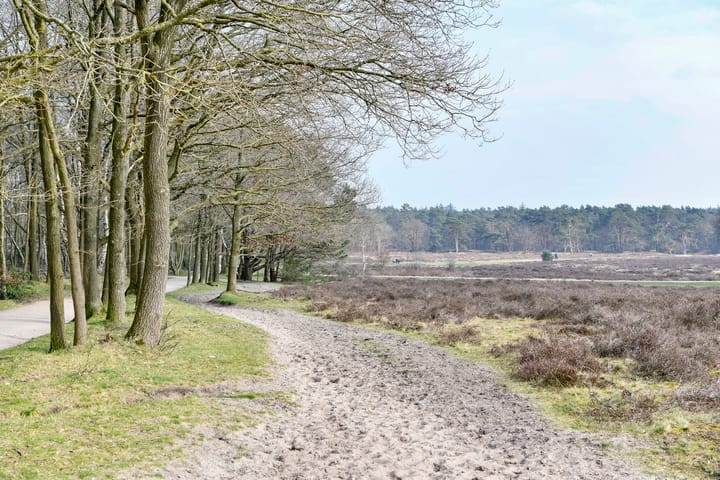 Foto 32 van C. Evertsenstraat 86