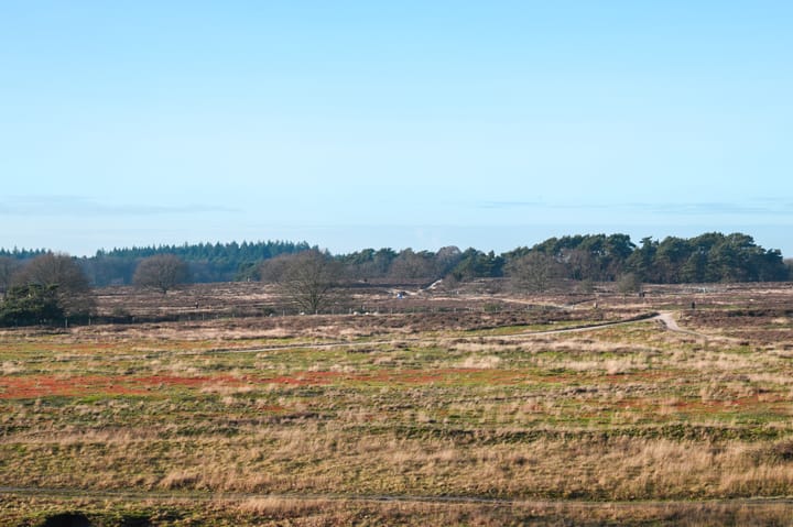 Foto 33 van C. Evertsenstraat 86