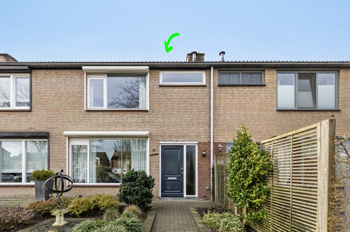 undefined main image