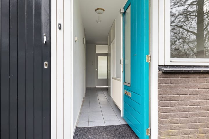 Foto 6 van de Hooidollen 71