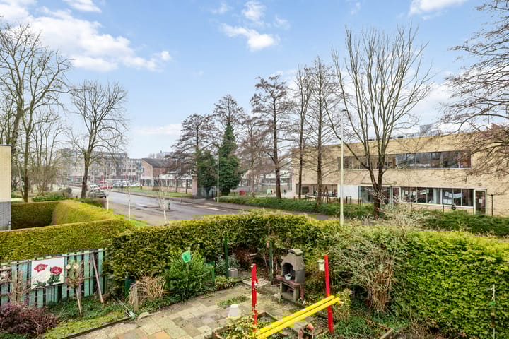 Foto 21 van de Hooidollen 71