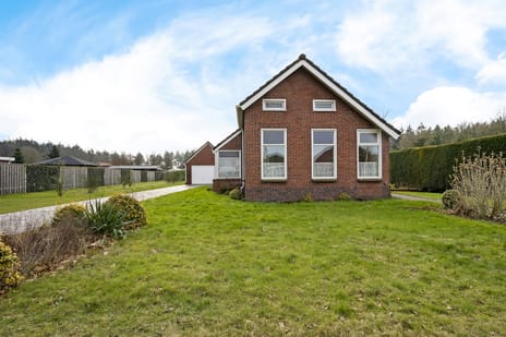 undefined main image