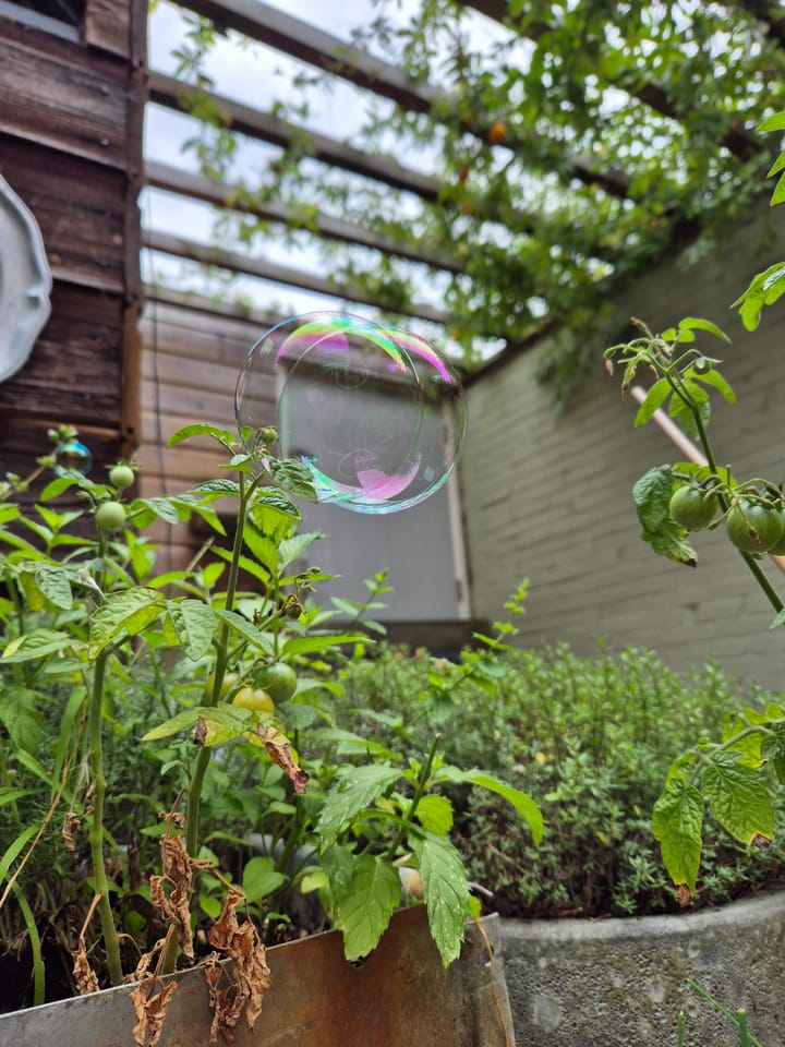 Foto 50 van Galjoenstraat 87