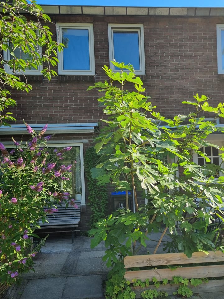 Foto 51 van Galjoenstraat 87