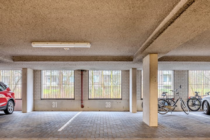 Photo 19 of Tuinderspad 38