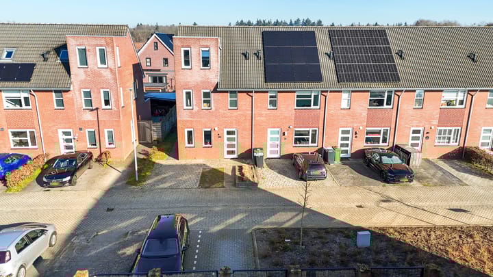 Foto 1 van Wingerdwal 10