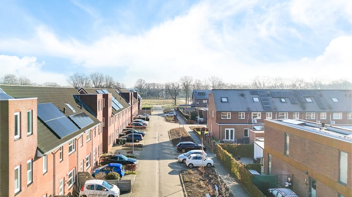 Foto 4 van Wingerdwal 10