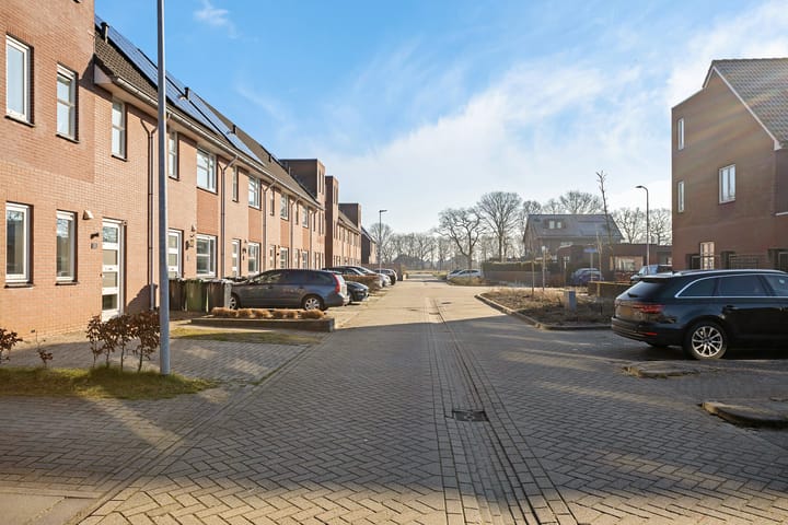 Foto 10 van Wingerdwal 10