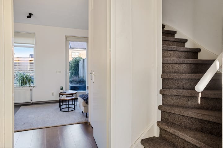 Foto 14 van Wingerdwal 10