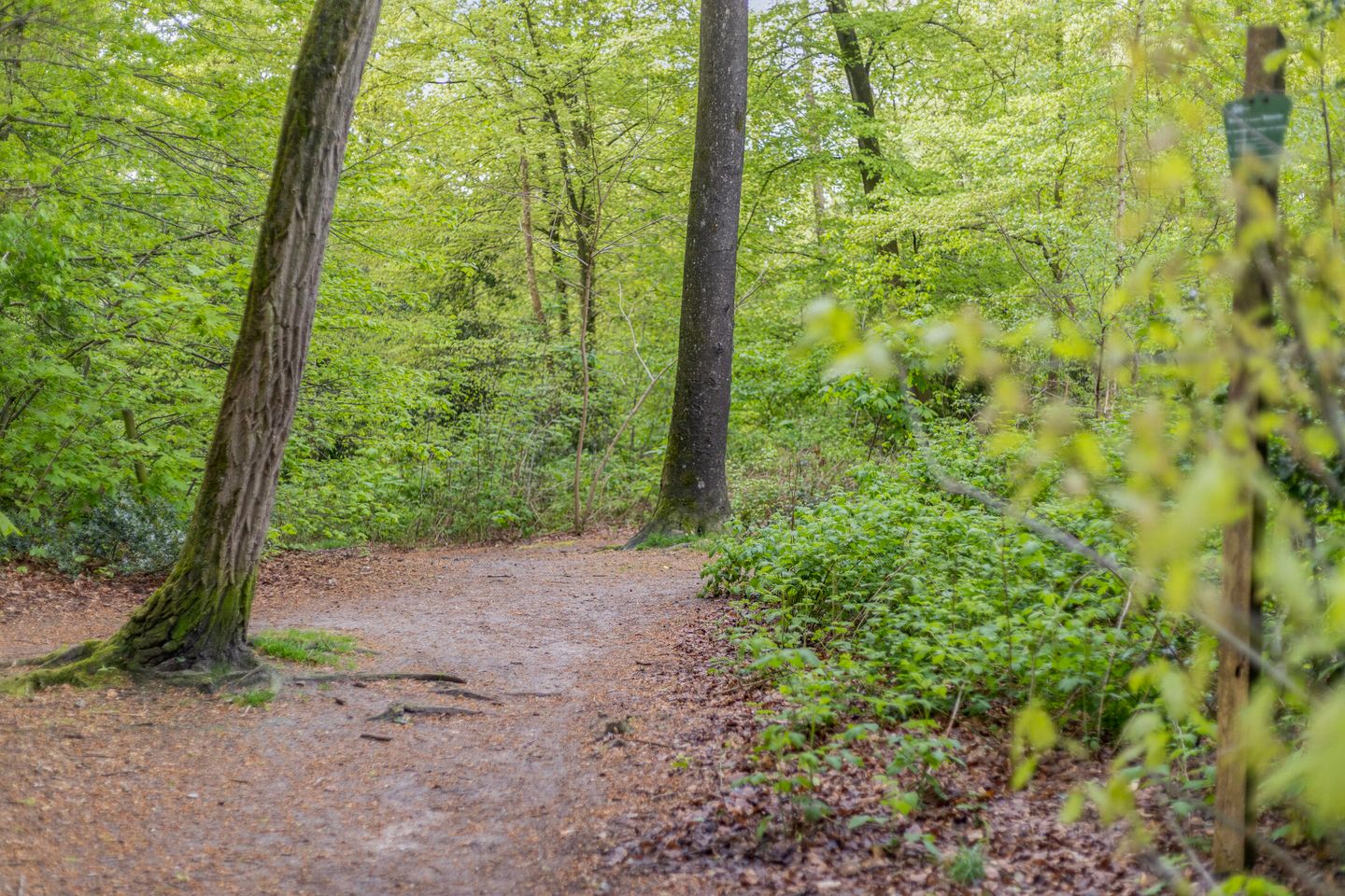 Foto 20 van Woestijgerweg 218-B