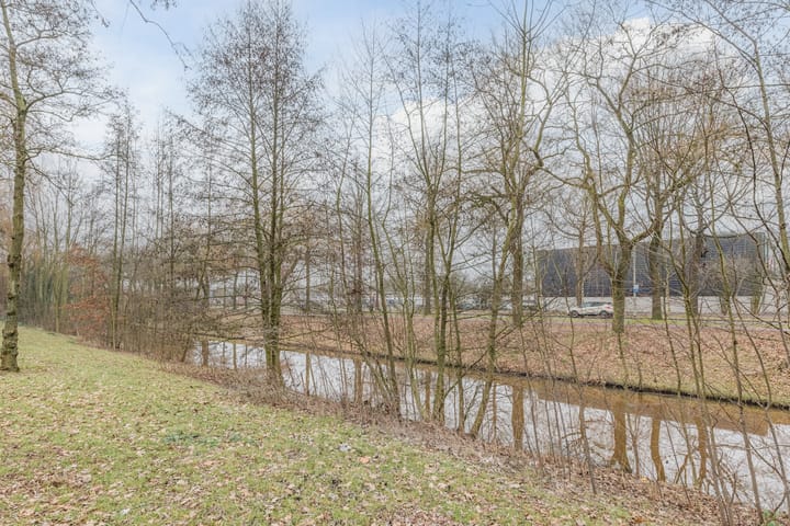 Foto 3 van Hornstraat 29