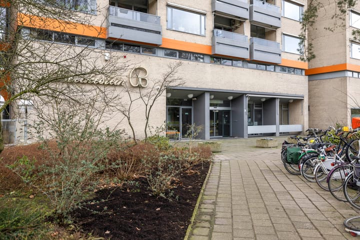 Foto 16 van Laan van Borgele 40-F711