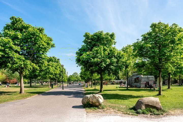 Foto 39 van Newtonstraat 55-H