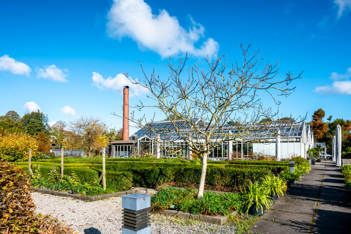 Foto 41 van Newtonstraat 55-H