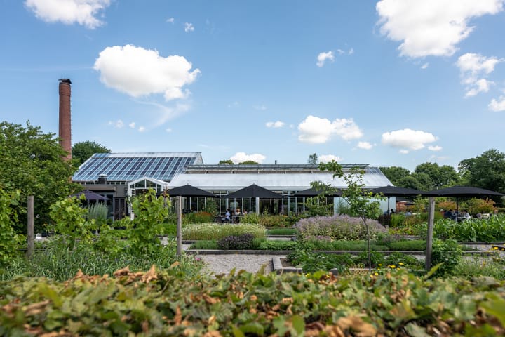 Foto 42 van Newtonstraat 55-H