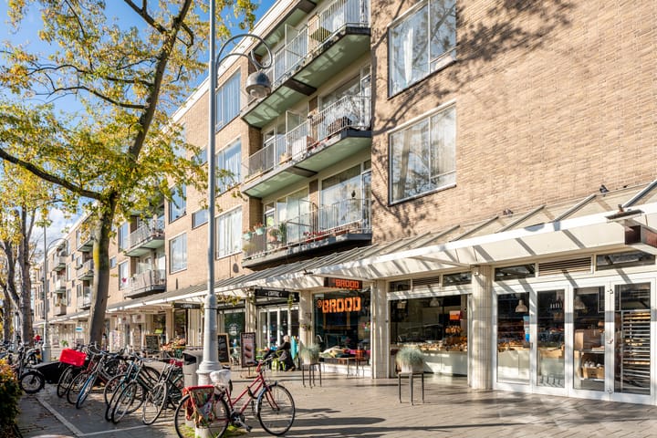 Foto 44 van Newtonstraat 55-H