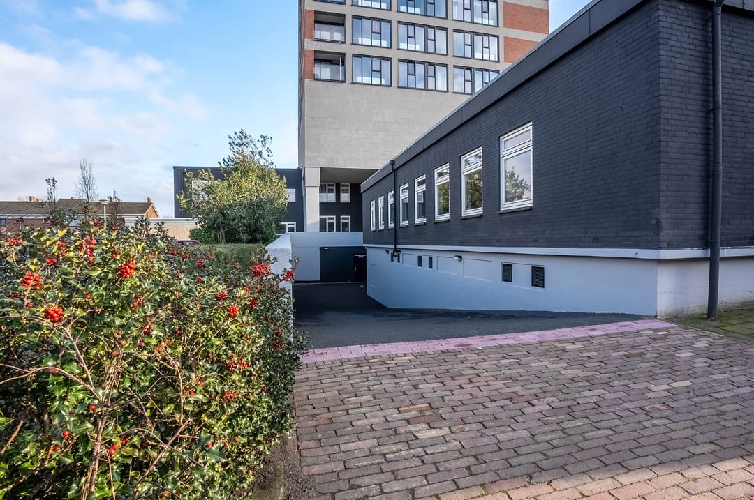 Photo 2 of Koningin Wilhelminalaan