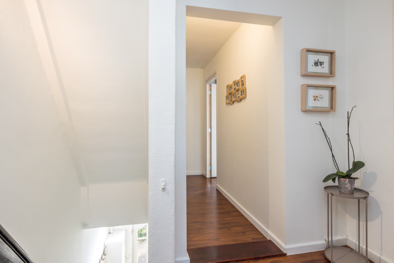 Foto 27 van Eloystraat 65