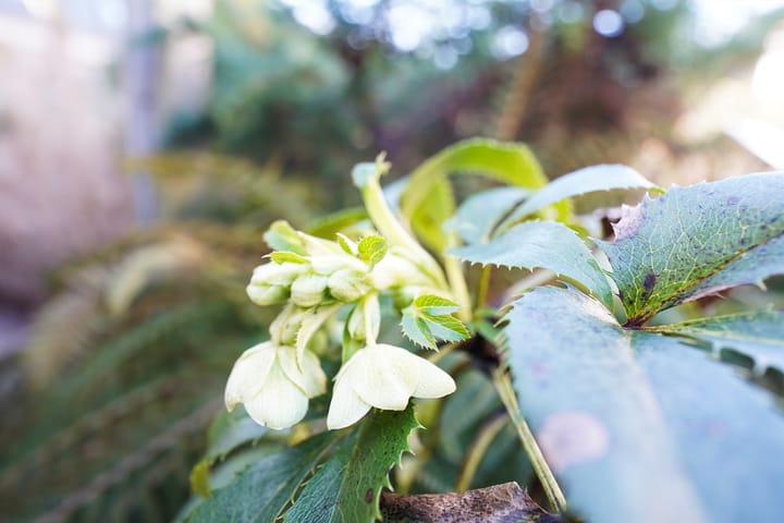 Foto 61 van Mennestraat 73