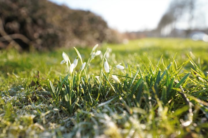 Foto 68 van Mennestraat 73