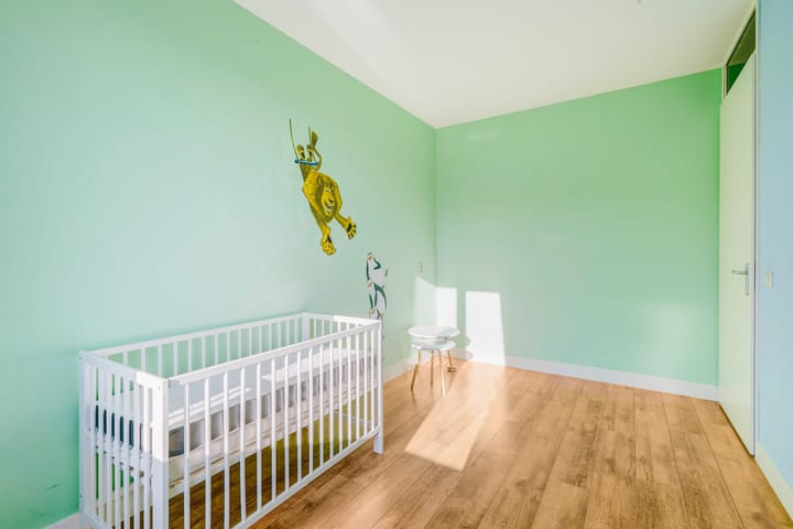 Foto 28 van Raaphorstlaan 68