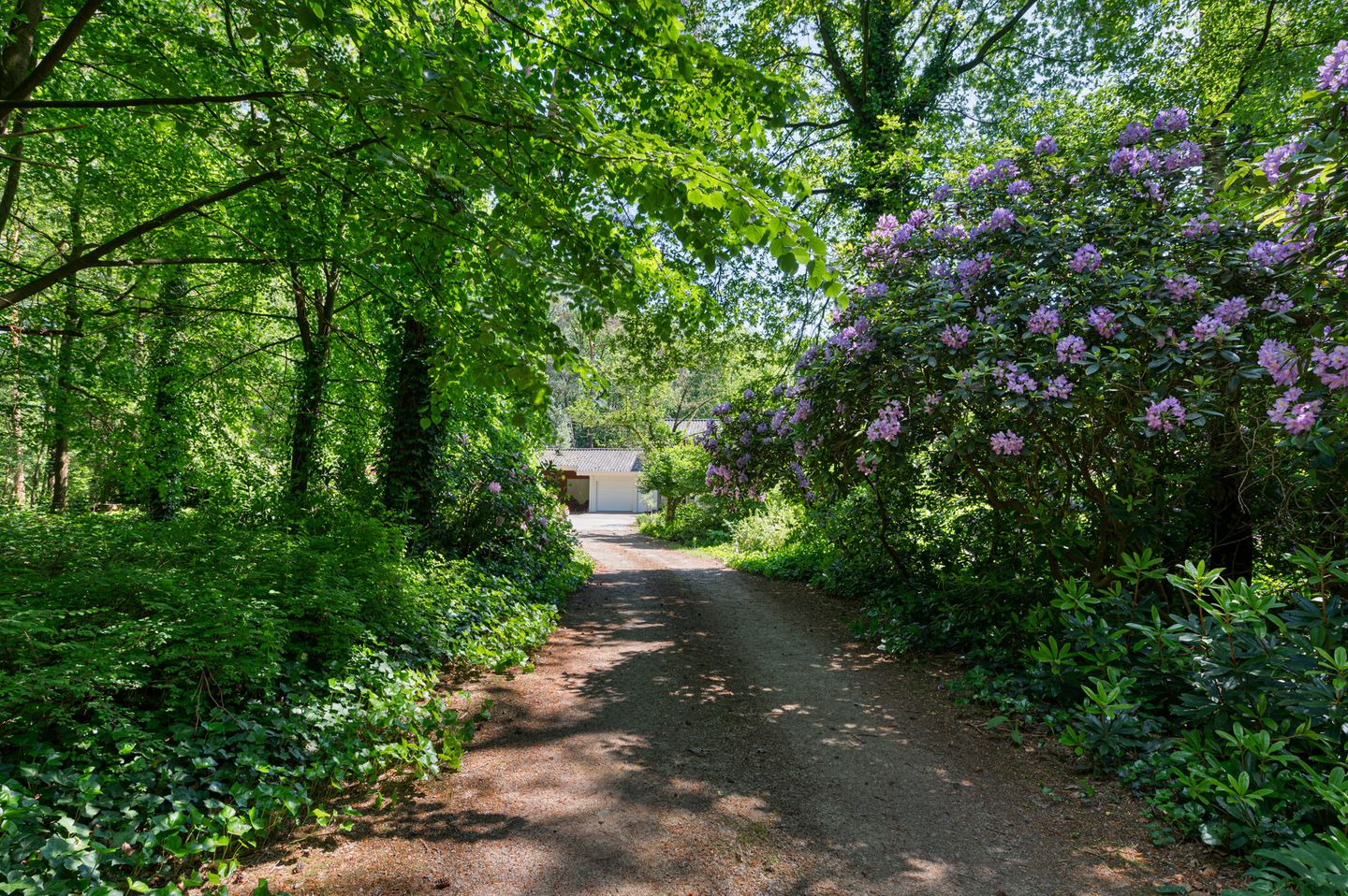 Foto 4 van Fazantlaan 12