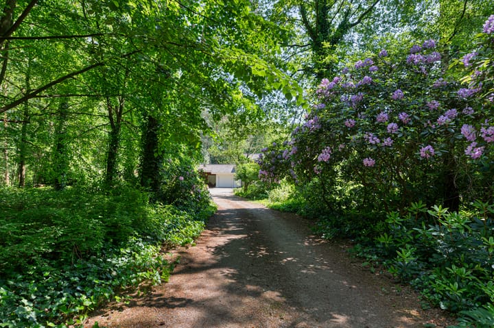 Foto 4 van Fazantlaan 12