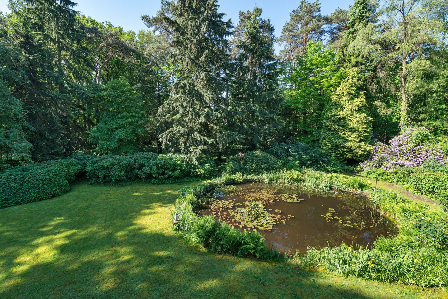 Foto 35 van Fazantlaan 12