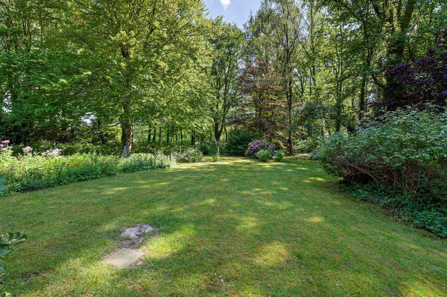 Foto 49 van Fazantlaan 12