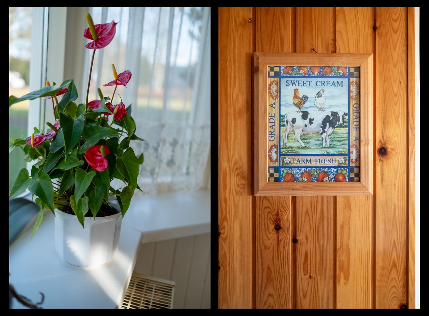 Photo 14 of Zevenhuisterweg 78