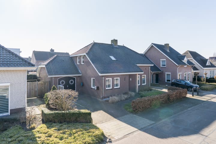 undefined main image