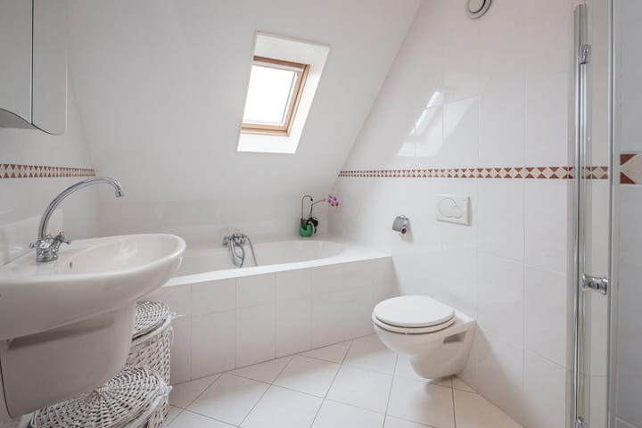 Foto 4 van Waterhoen 10