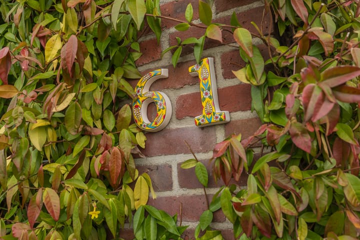 Foto 4 van Leidsestraat 61