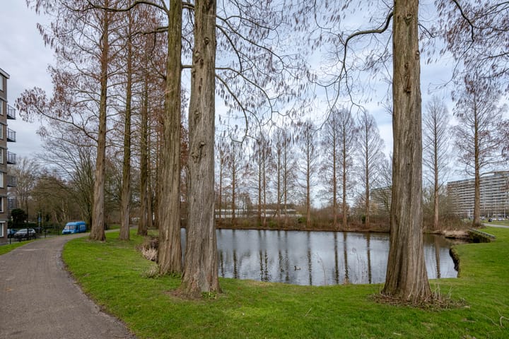 Foto 28 van Sluiskreek 2