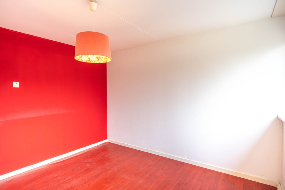 Photo 13 of Robert Stolzsingel 17