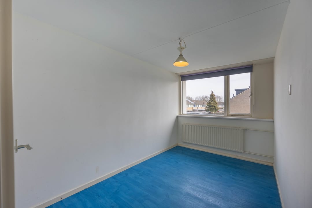 Photo 16 of Robert Stolzsingel 17