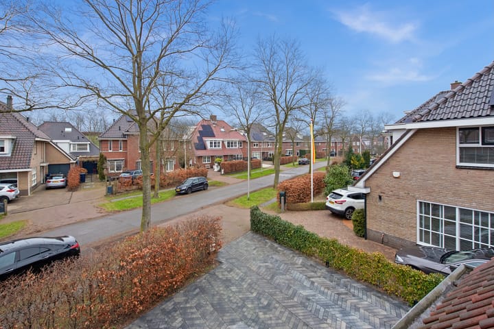 Foto 44 van Guirlande 96