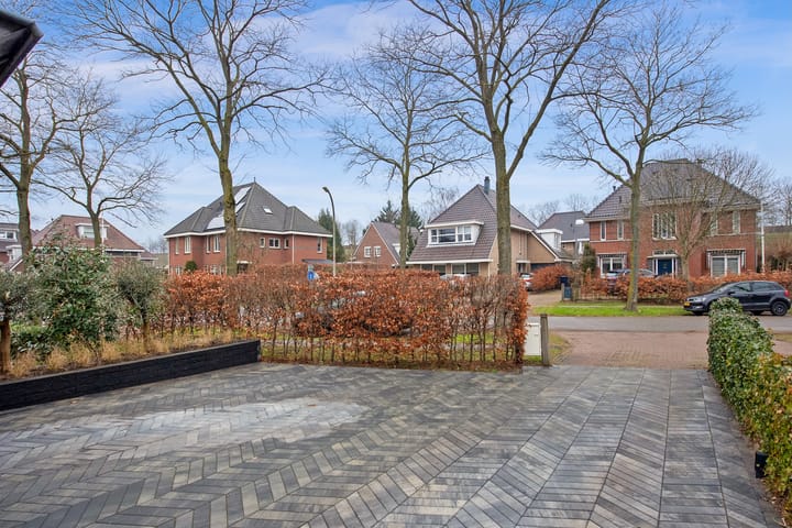 Foto 45 van Guirlande 96