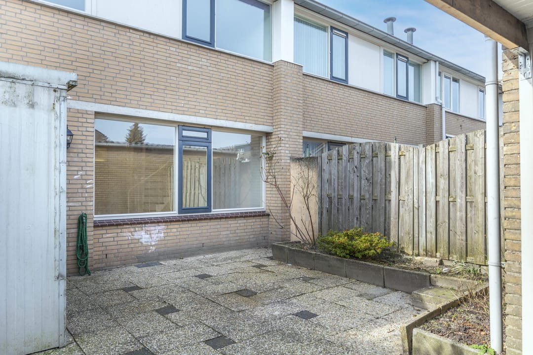 Photo 23 of Robert Stolzsingel 17