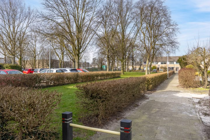 Foto 26 van Robert Stolzsingel 17